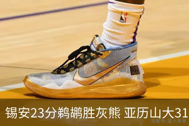 锡安23分鹈鹕胜灰熊 亚历山大31+10雷霆屠公牛