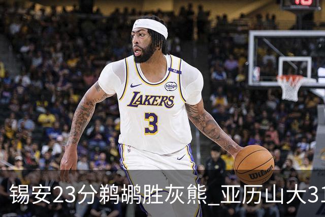锡安23分鹈鹕胜灰熊 亚历山大31+10雷霆屠公牛